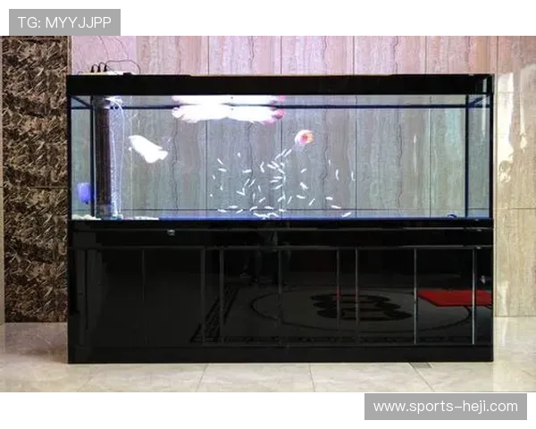 亚新体育app官网常见问题解答，解决用户在使用过程中遇到的各种疑难问题