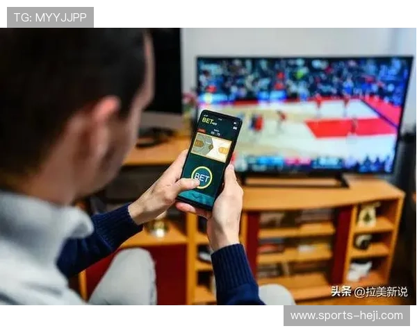 鸿博体育平台全面解析：如何选择最适合你的体育博彩网站